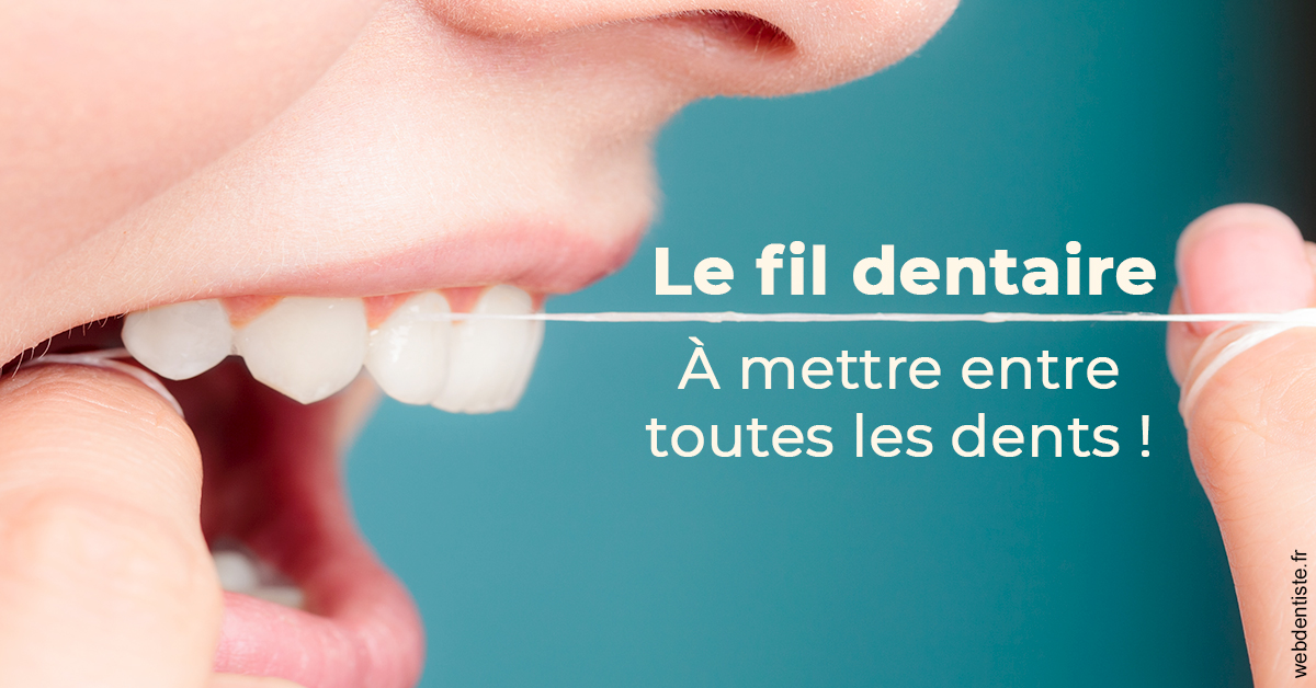 https://dr-fontaine-philippe.chirurgiens-dentistes.fr/Le fil dentaire 2