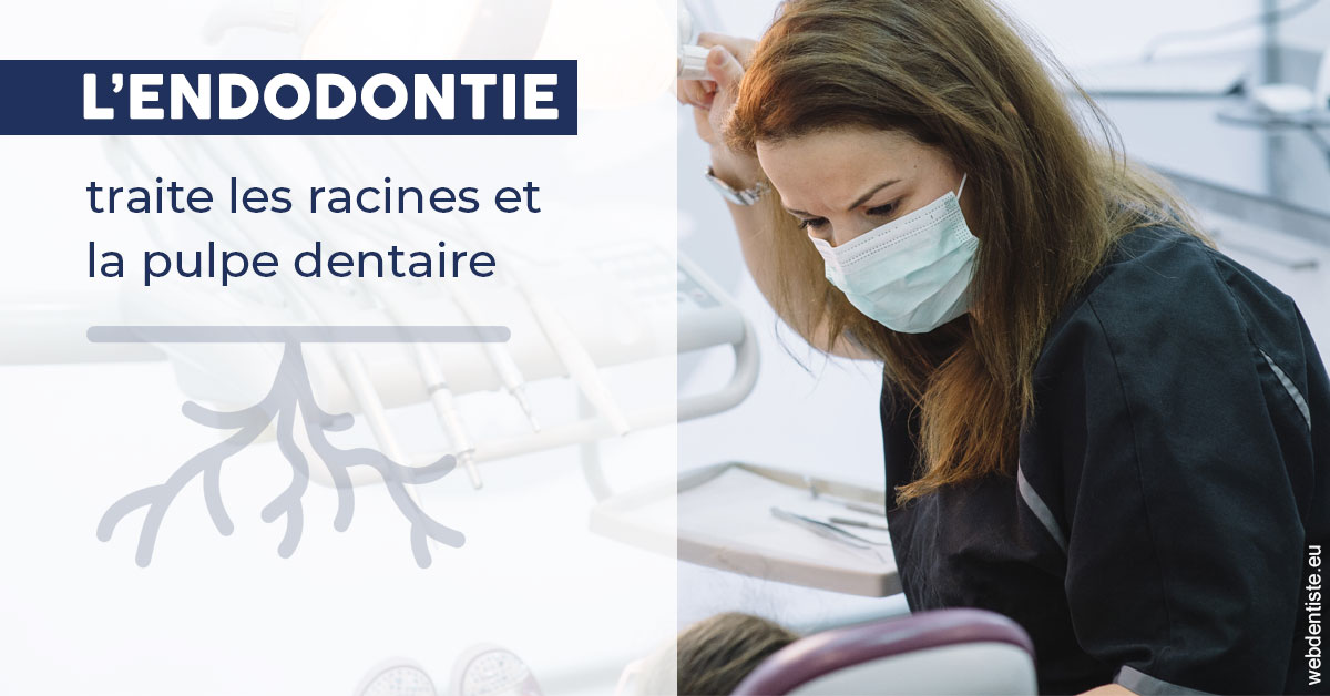 https://dr-fontaine-philippe.chirurgiens-dentistes.fr/L'endodontie 1