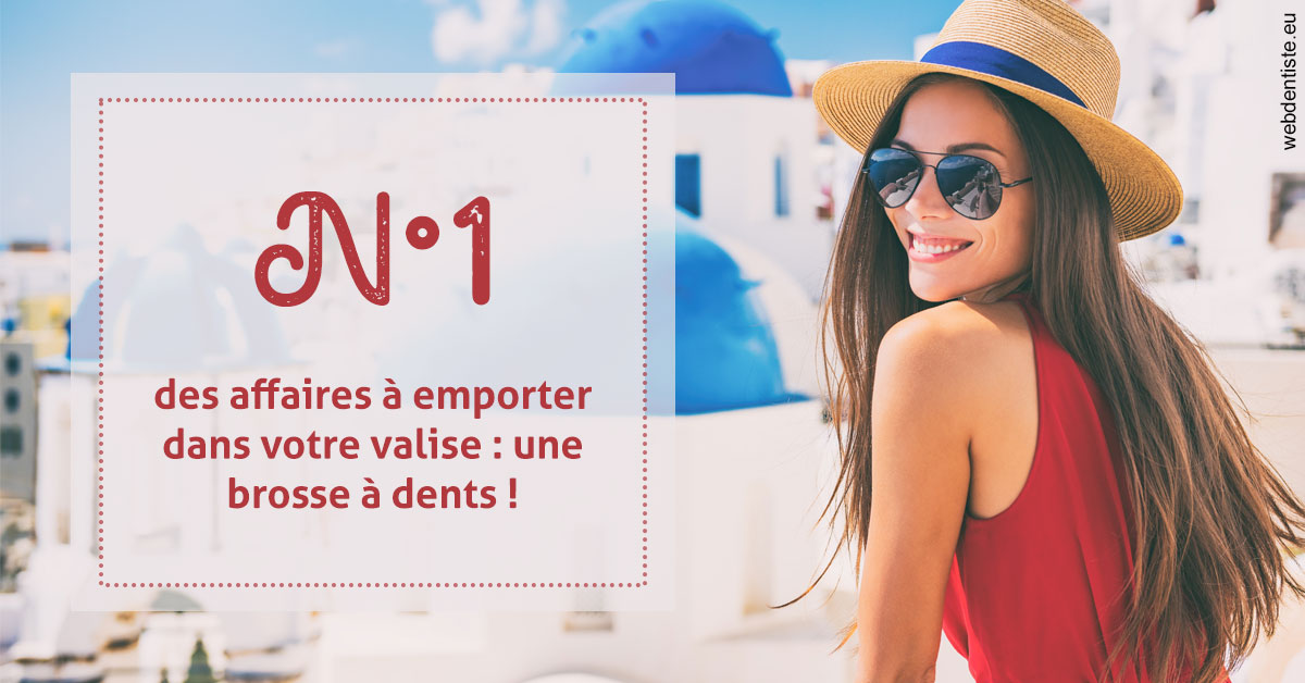 https://dr-fontaine-philippe.chirurgiens-dentistes.fr/Brosse à dents valise 1