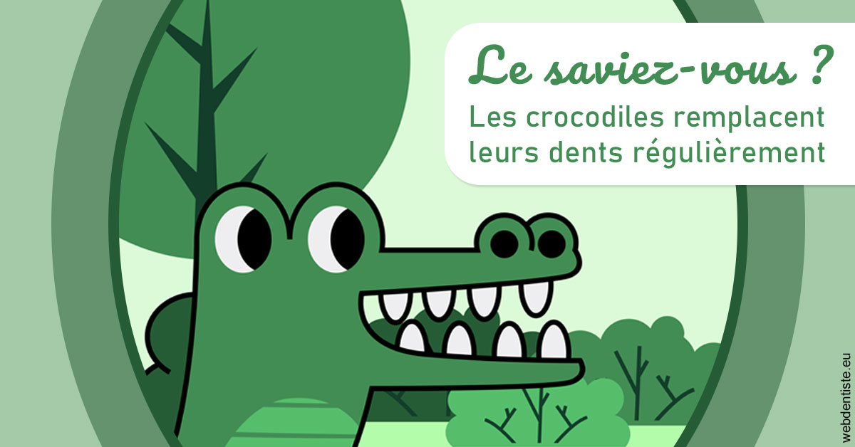 https://dr-fontaine-philippe.chirurgiens-dentistes.fr/Crocodiles 2